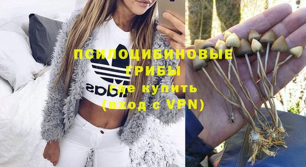 спиды Белокуриха