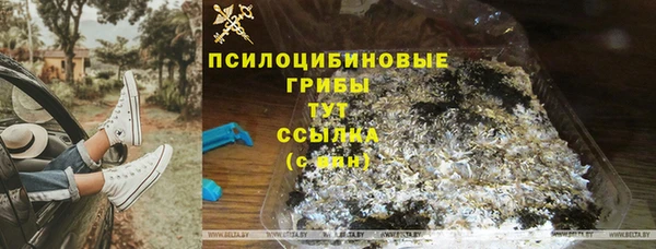спиды Белокуриха