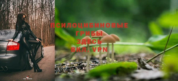 стаф Беломорск