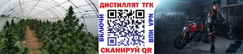 ТГК вейп  OMG tor  Очёр  закладки 